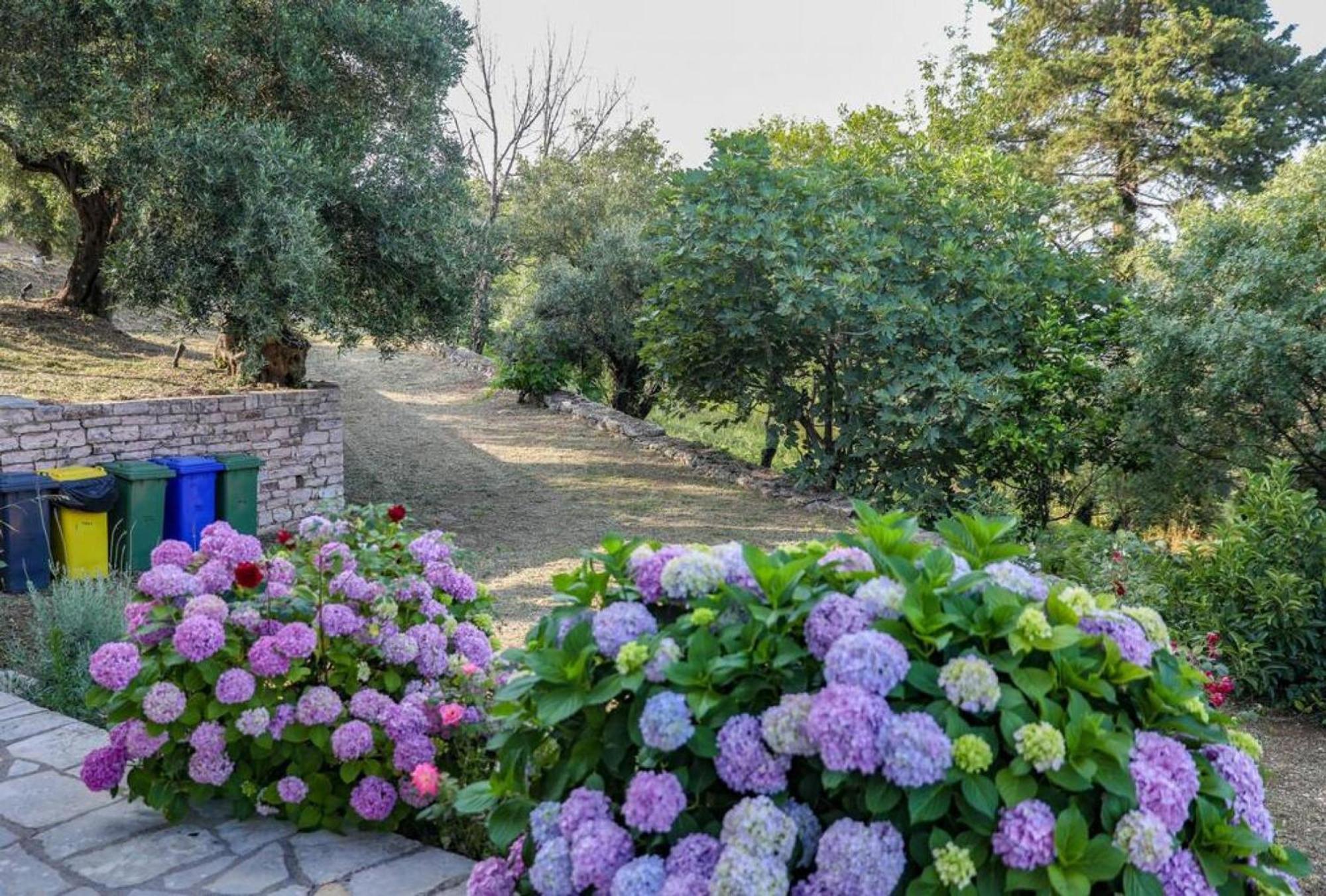 Sinies Stone Cottage - Ne Corfu Agnitsini Exterior photo