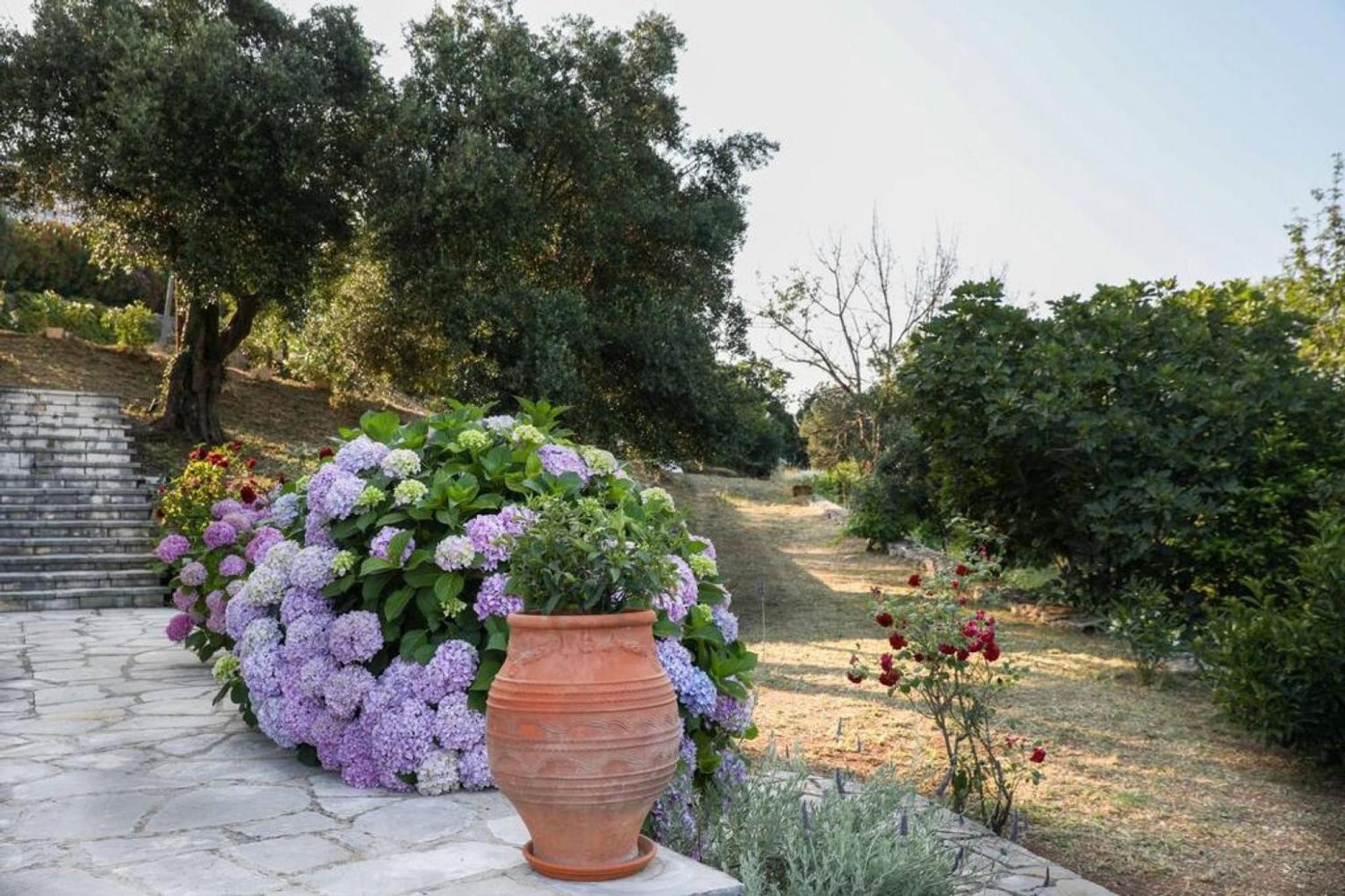 Sinies Stone Cottage - Ne Corfu Agnitsini Exterior photo